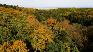 Tepedeki ormandan sonbahar manzarası