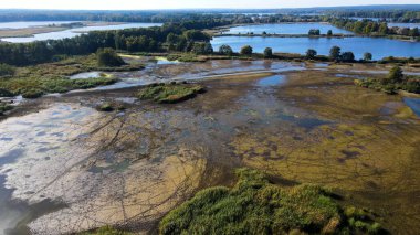 Göl sonbahar manzarası yukarıdan