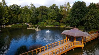 Japon bahçe manzarası manzarası