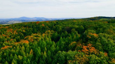 Tepedeki ormandan sonbahar manzarası