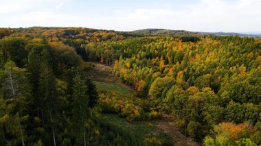 Tepedeki ormandan sonbahar manzarası
