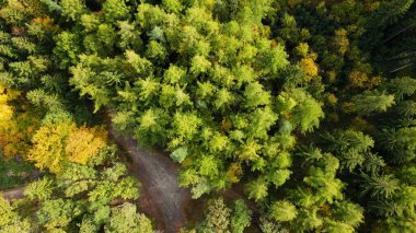 Tepedeki ormandan sonbahar manzarası