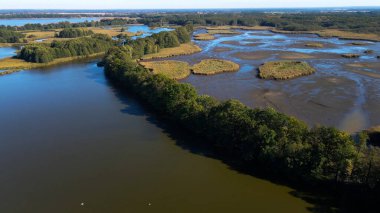 Göl sonbahar manzarası yukarıdan