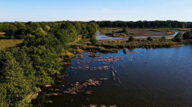 Göl sonbahar manzarası yukarıdan