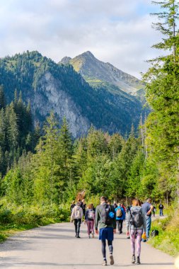 Dağlara tırmanan turistler orman tatili
