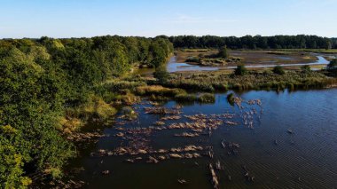 Göl sonbahar manzarası yukarıdan