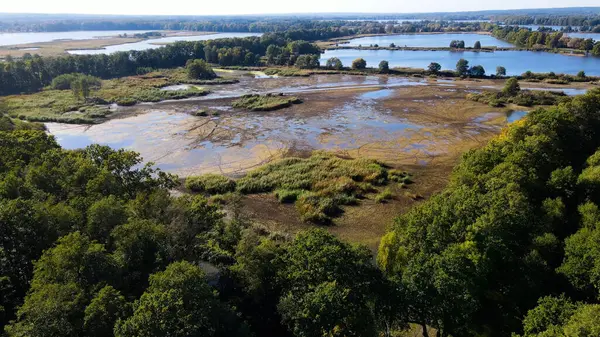 Göl sonbahar manzarası yukarıdan