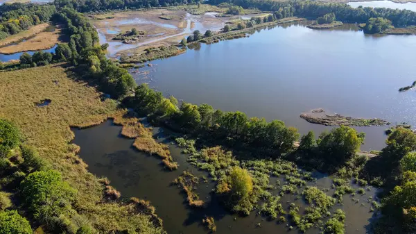 Göl sonbahar manzarası yukarıdan