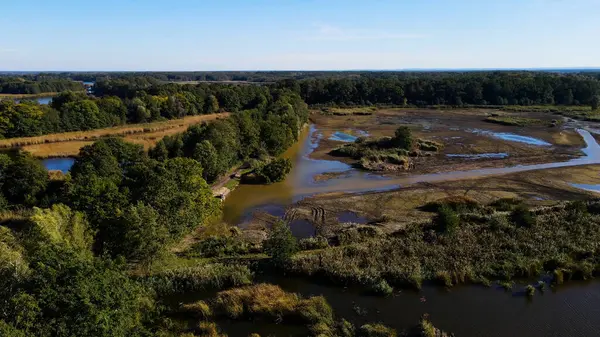 Göl sonbahar manzarası yukarıdan
