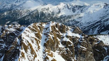 Zakopane Polonya 'dan karlı dağ zirvesi, buzul manzaralı.