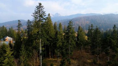 Zakopane Polonya 'nın tepesinden kayaların manzarası