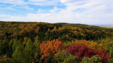 Tepedeki ormandan sonbahar manzarası