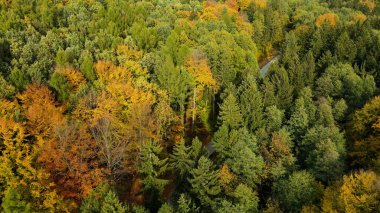 Tepedeki ormandan sonbahar manzarası