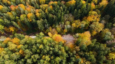 Tepedeki ormandan sonbahar manzarası
