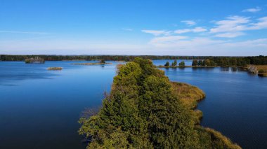 Gölün üzerinden su manzaralı ağaçlar