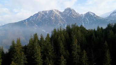 Zakopane Polonya 'nın tepesinden kayaların manzarası