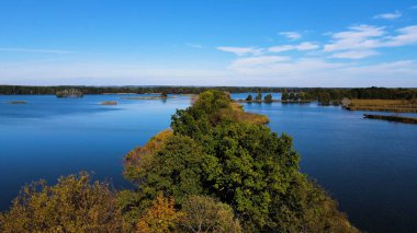 Gölün üzerinden su manzaralı ağaçlar