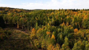 Tepedeki ormandan sonbahar manzarası
