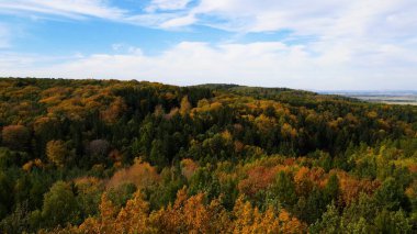 Tepedeki ormandan sonbahar manzarası