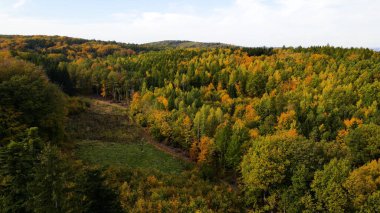 Tepedeki ormandan sonbahar manzarası