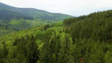 Blauen dağının üzerinden uçan İHA Belchen, Kara Orman, Almanya