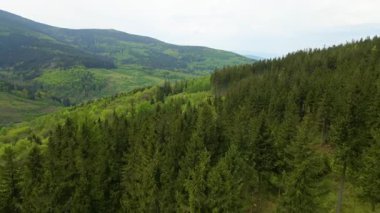 Blauen dağının üzerinden uçan İHA Belchen, Kara Orman, Almanya