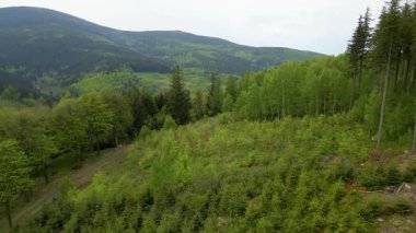 Blauen dağının üzerinden uçan İHA Belchen, Kara Orman, Almanya