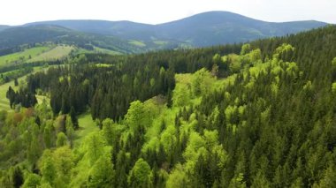 Blauen dağının üzerinden uçan İHA Belchen, Kara Orman, Almanya