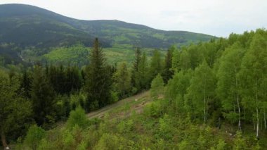 Blauen dağının üzerinden uçan İHA Belchen, Kara Orman, Almanya