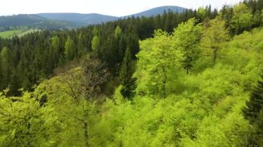 Blauen dağının üzerinden uçan İHA Belchen, Kara Orman, Almanya