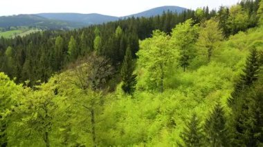 Blauen dağının üzerinden uçan İHA Belchen, Kara Orman, Almanya