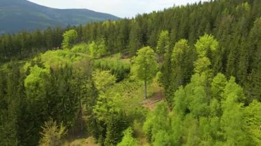 Blauen dağının üzerinden uçan İHA Belchen, Kara Orman, Almanya