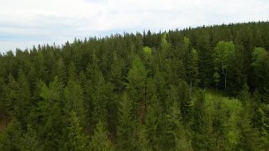 Blauen dağının üzerinden uçan İHA Belchen, Kara Orman, Almanya