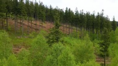 Blauen dağının üzerinden uçan İHA Belchen, Kara Orman, Almanya