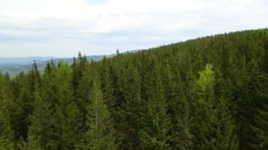 Blauen dağının üzerinden uçan İHA Belchen, Kara Orman, Almanya