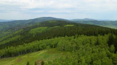 Blauen dağının üzerinden uçan İHA Belchen, Kara Orman, Almanya
