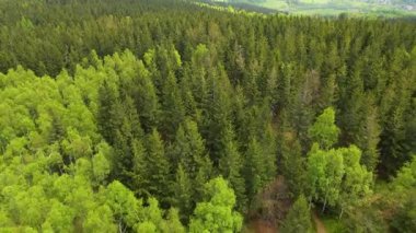 Blauen dağının üzerinden uçan İHA Belchen, Kara Orman, Almanya