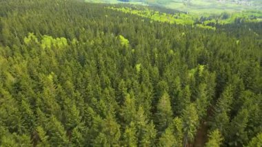 Blauen dağının üzerinden uçan İHA Belchen, Kara Orman, Almanya
