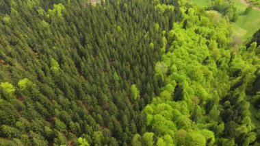 Blauen dağının üzerinden uçan İHA Belchen, Kara Orman, Almanya