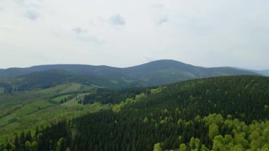 Blauen dağının üzerinden uçan İHA Belchen, Kara Orman, Almanya