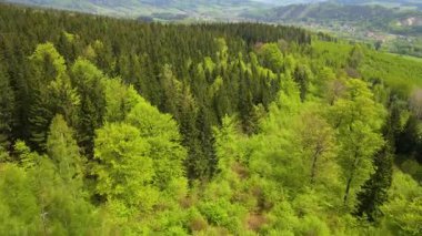 Blauen dağının üzerinden uçan İHA Belchen, Kara Orman, Almanya