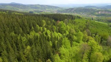 Blauen dağının üzerinden uçan İHA Belchen, Kara Orman, Almanya