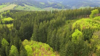 Blauen dağının üzerinden uçan İHA Belchen, Kara Orman, Almanya