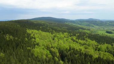 Blauen dağının üzerinden uçan İHA Belchen, Kara Orman, Almanya