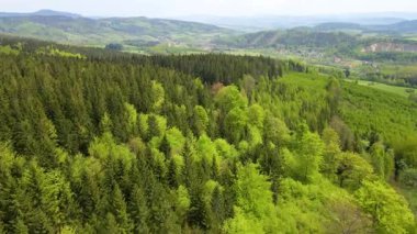 Blauen dağının üzerinden uçan İHA Belchen, Kara Orman, Almanya