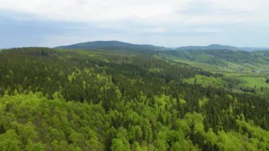 Blauen dağının üzerinden uçan İHA Belchen, Kara Orman, Almanya