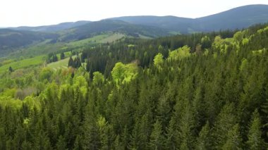 Blauen dağının üzerinden uçan İHA Belchen, Kara Orman, Almanya