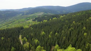 Blauen dağının üzerinden uçan İHA Belchen, Kara Orman, Almanya