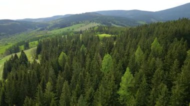 Blauen dağının üzerinden uçan İHA Belchen, Kara Orman, Almanya