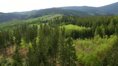 Blauen dağının üzerinden uçan İHA Belchen, Kara Orman, Almanya